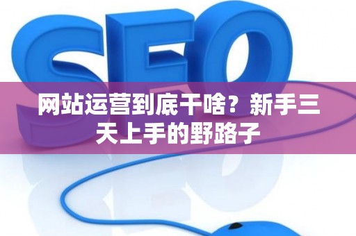 网站运营到底干啥？新手三天上手的野路子