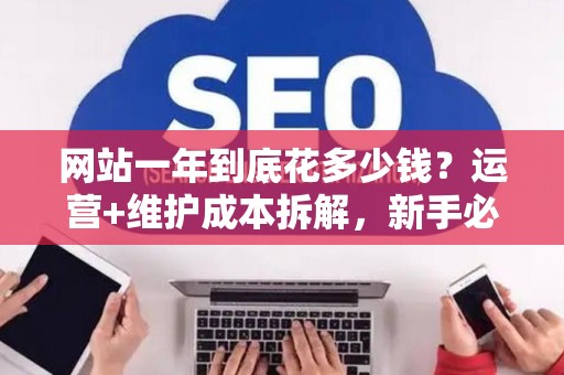 网站一年到底花多少钱？运营+维护成本拆解，新手必看